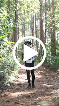 BIB:  <button type="button" onclick="openModal(26569552)" class="btn btn-primary btn-sm float-right" data-toggle="modal" data-target=".modal-high-quality">
                <i class="fa fa-download"></i> Download
                </button>